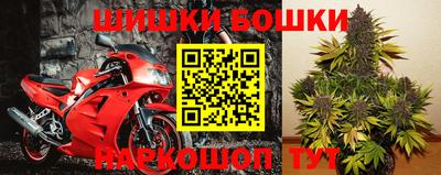 молекула духа Партизанск