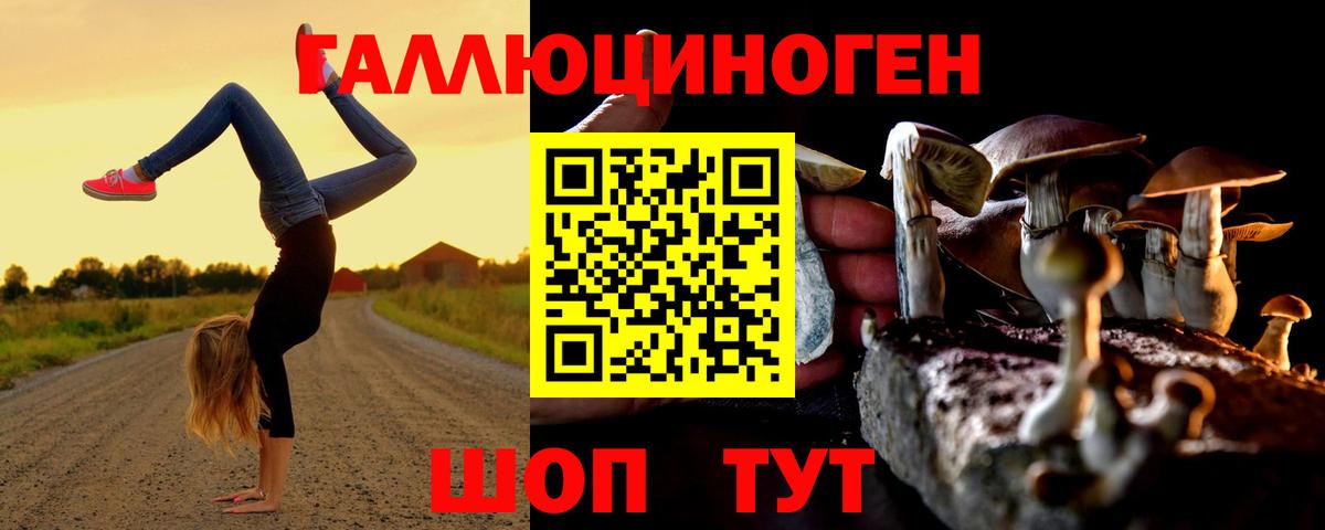 Псилоцибиновые грибы Cubensis  Вход с VPN  Славянск-на-Кубани  Галлюциногенные грибы ЛСД 