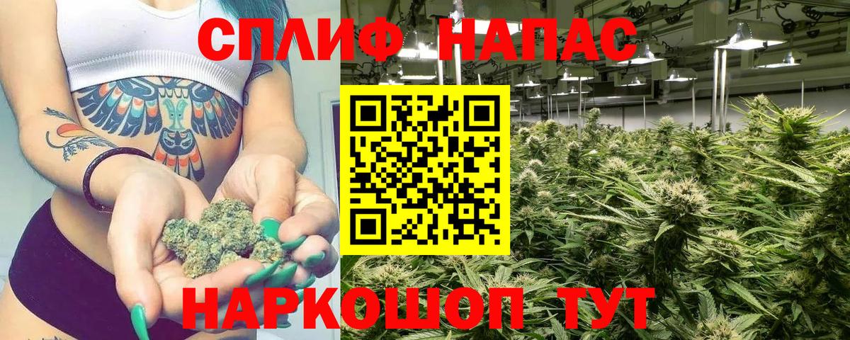 Марихуана ГИДРОПОН  Конопля индика  МАРИХУАНА тримм  Славянск-на-Кубани  Вход с VPN 